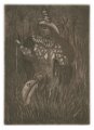 gmorrison_ meadow_clown